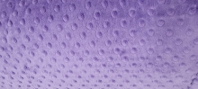 60" Minky Dot - Color Purple - 1 yd