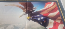 45" Panel - Flight of Freedom - 1 yd