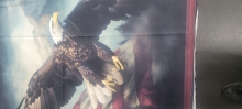 45" Panels -  Soaring The Flag -  1 yd