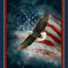 45" Panel - freedom Wings