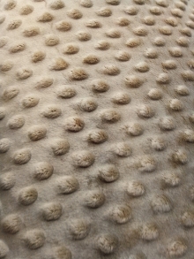 60" Minky Dot - Color Khaki - 1 yd