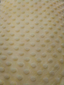 60" Minky Dot - Color Ivory - 1 yd