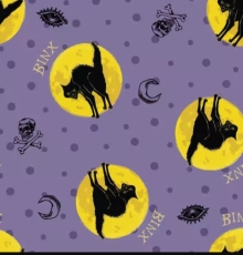 43" Licensed Halloween - Binx Hocus Pocus