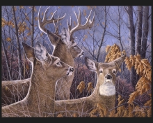 45" Panel - Cautious Moment - 1 yd