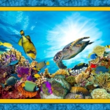 45" Panel - Coral Reef - 1 yd