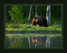 45" Panel - Big Bear Lake - 1 yd