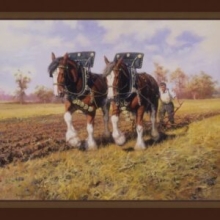 45" Panels - Working The Fields -  1 yd