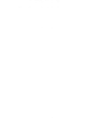 45" Dream Cotton - Color White - 1 yd