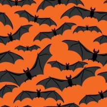45 " Halloween - Spooky Bat Orange - 1 yd