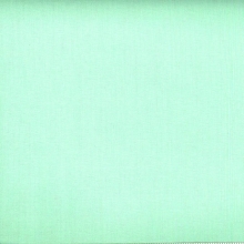 45" Dream Cotton - Color Mint -1 yd