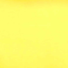 45" Dream Cotton - Color Sunshine - 1 yd