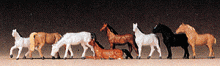 590-88578 Z ANIMALS HORSES