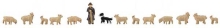 272-155901 N SHEEP FARMING FIGURES