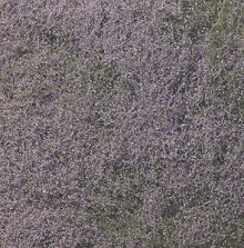 785-177 FLOWERING FOLIAGE PURPLE