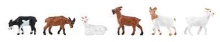 272-151911 HO GOATS [PKG 6]