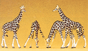 590-79715 N GIRAFFES