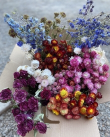 Dried Flowers