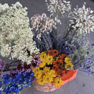 Dried Flowers
