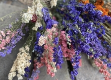 Dried Flowers