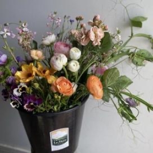 CSA Flower Subscription 2026 Flower Season