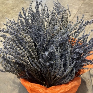 Dried Lavender 