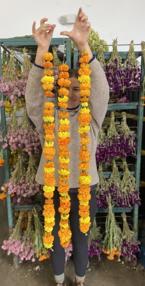 Marigold Garlands 