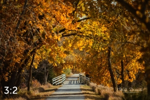 Oak Creek Trail 56742