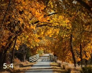 Oak Creek Trail 56742