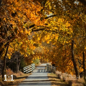 Oak Creek Trail 56742