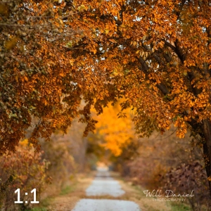 Oak Creek Trail 56594