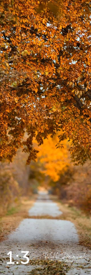 Oak Creek Trail 56594