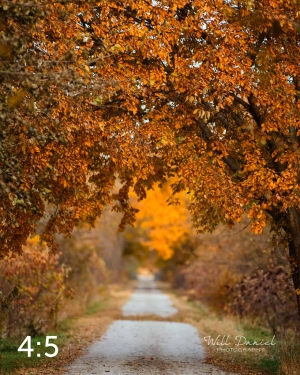 Oak Creek Trail 56594