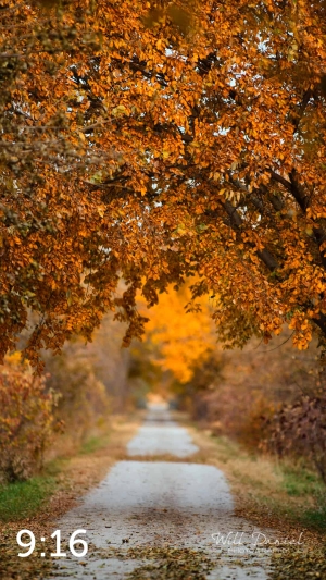 Oak Creek Trail 56594