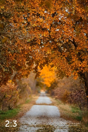 Oak Creek Trail 56594