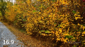 Oak Creek Trail 56686