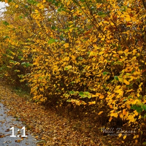 Oak Creek Trail 56686