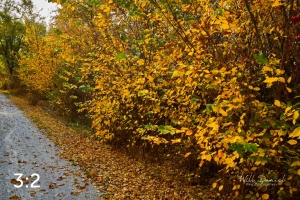 Oak Creek Trail 56686