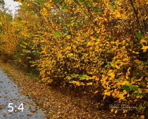 Oak Creek Trail 56686