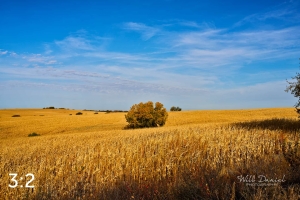 Oak Creek Trail 56699