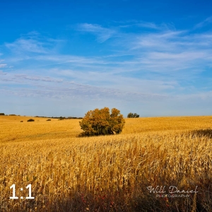 Oak Creek Trail 56699