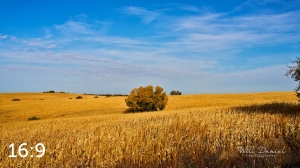 Oak Creek Trail 56699