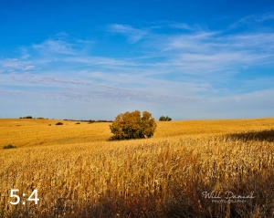 Oak Creek Trail 56699