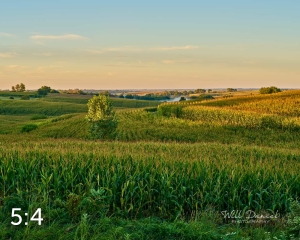 Oak Creek Trail 55517