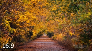 Dark Island Trail 56801