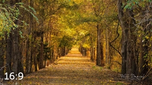 Dark Island Trail 56836