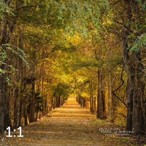 Dark Island Trail 56836