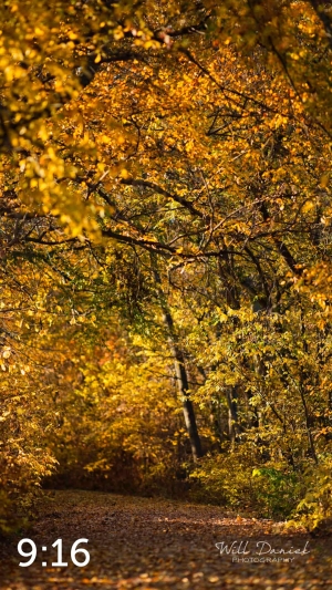 MoPac East Trail 56931