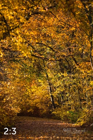 MoPac East Trail 56931