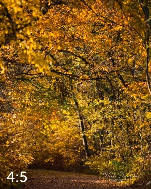 MoPac East Trail 56931