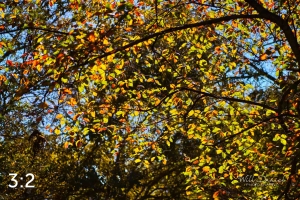 MoPac East Trail 56330